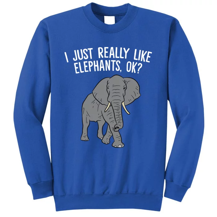 I Just Really Like Elephants Ok? Love Elephants Gift Tall Sweatshirt