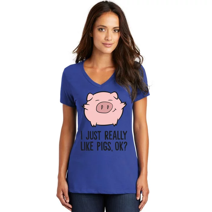 I Just Really Like Pigs Ok? Pig Lovers Cool Gift Women's V-Neck T-Shirt