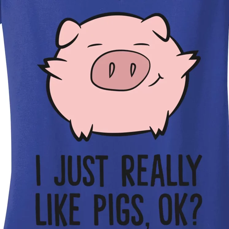 I Just Really Like Pigs Ok? Pig Lovers Cool Gift Women's V-Neck T-Shirt