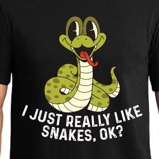 I Just Really Like Snakes Ok Reptile Gift Pajama Set