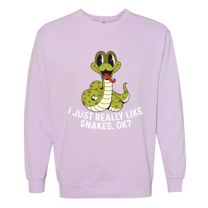 I Just Really Like Snakes Ok Reptile Gift Garment-Dyed Sweatshirt