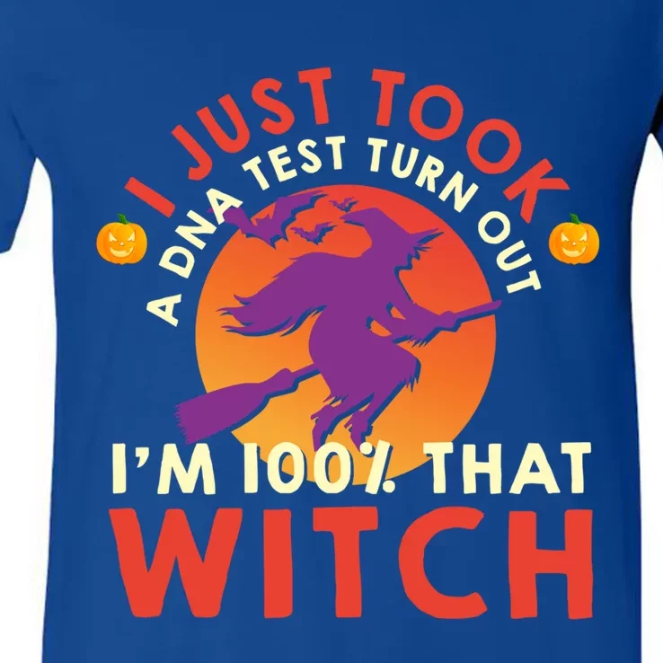 I Just Took A Dna Test Turns Out Im 100 Percent That Witch Meaningful Gift V-Neck T-Shirt