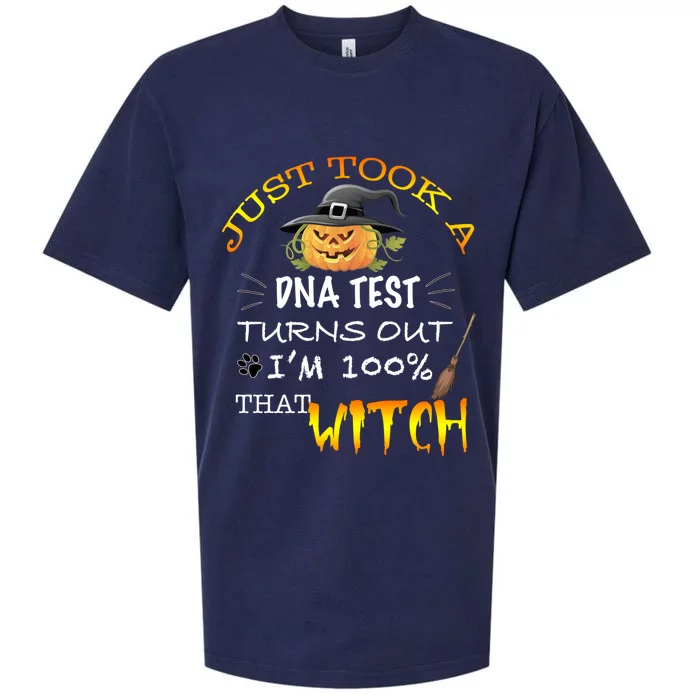 I Just Took A Dna Test Turns Out Im 100% That Witch Funny Gift Sueded Cloud Jersey T-Shirt