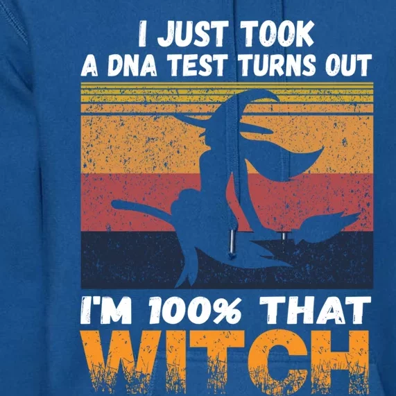 I Just Took A Dna Test Turns Out Im % That Witch Halloween Meaningful Gift Premium Hoodie