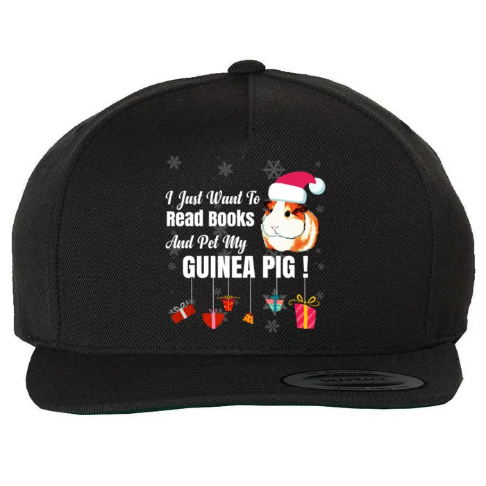 I Just Want To Read Books Cute Guinea Pig Christmas Gift Wool Snapback Cap