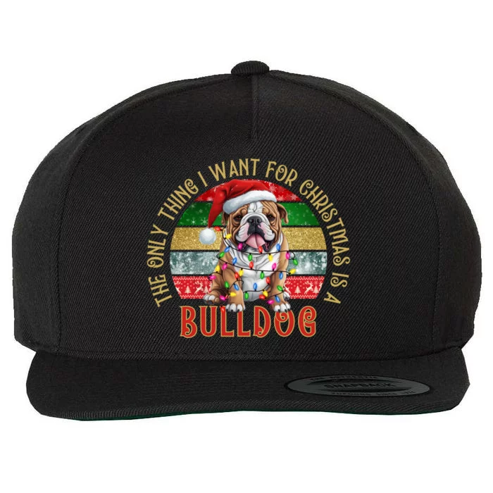 I Just Want A French Bulldog Cute Frenchie Christmas Gift Wool Snapback Cap