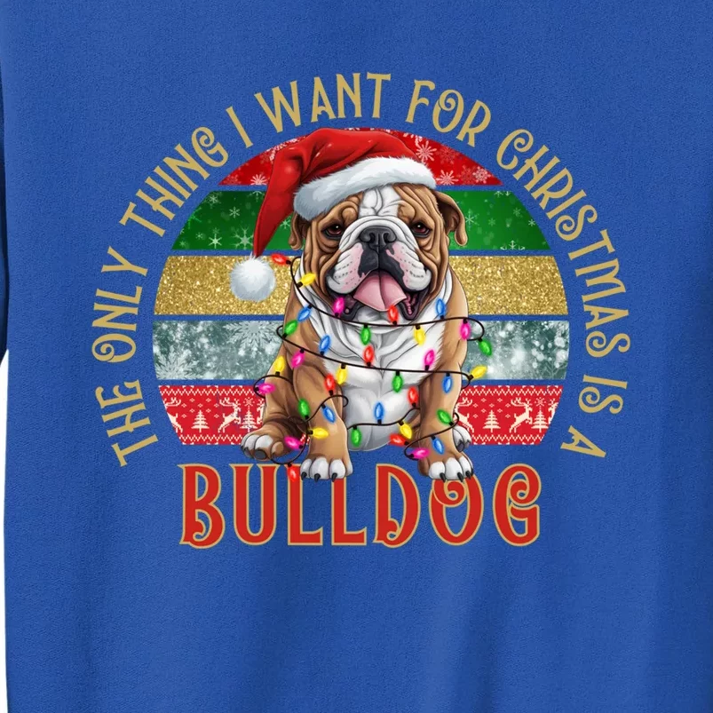 I Just Want A French Bulldog Cute Frenchie Christmas Gift Sweatshirt