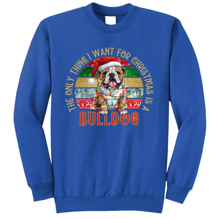 I Just Want A French Bulldog Cute Frenchie Christmas Gift Tall Sweatshirt