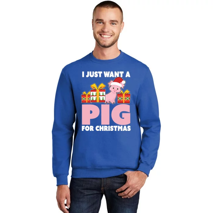 I Just Want A Pig For Christmas Cute Pig Christmas Gift Tall Sweatshirt