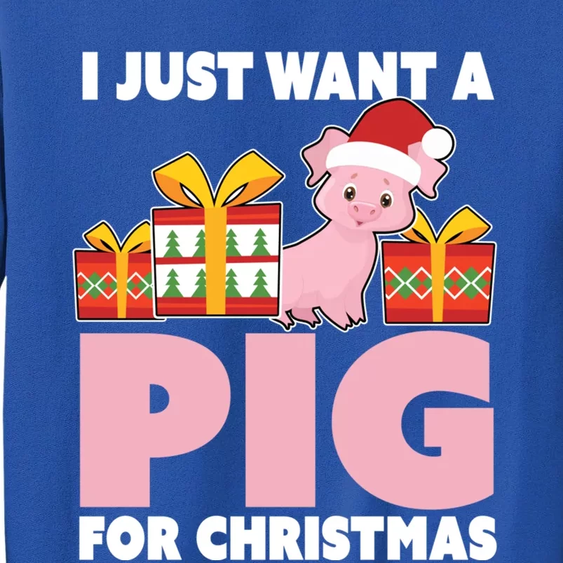 I Just Want A Pig For Christmas Cute Pig Christmas Gift Tall Sweatshirt