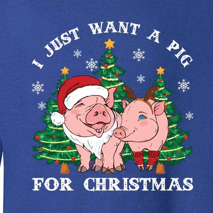 I Just Want A Pig For Christmas Holiday Tree Piglet Cute Cute Gift Toddler Sweatshirt