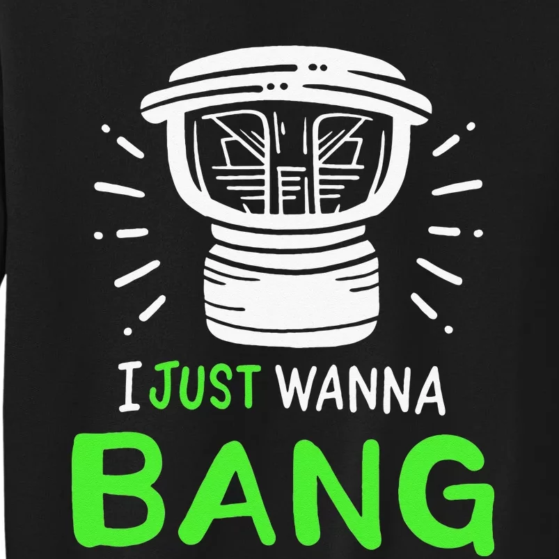 I Just Wanna Bang Car Audio Technician Sweatshirt