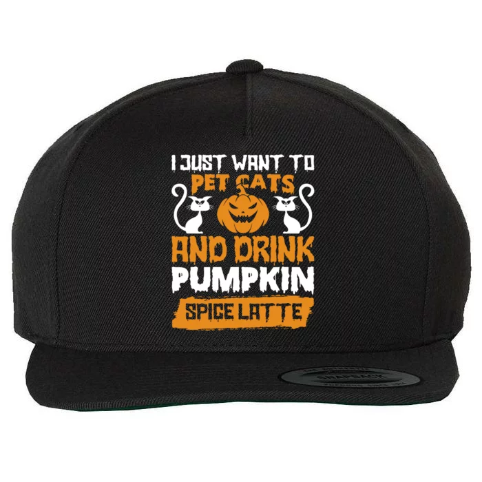 I Just Want To Pet Cats And Pumpkin Spice Lattes Gift Wool Snapback Cap