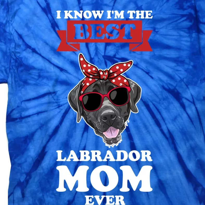 I Know I'm The Best Labrador Mom Ever Labrador Gift Tie-Dye T-Shirt