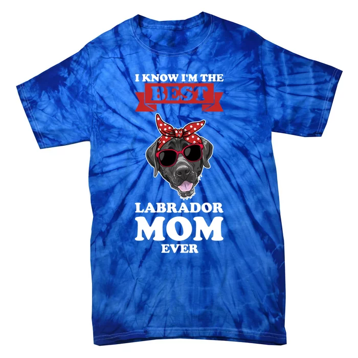 I Know I'm The Best Labrador Mom Ever Labrador Gift Tie-Dye T-Shirt