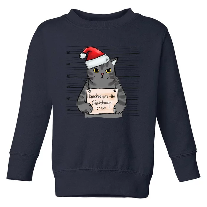 I Knocked Over The Christmas Tree Funny Cat Christmas Gift Toddler Sweatshirt