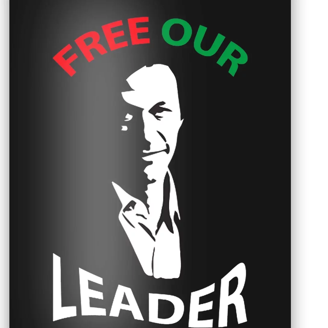 Imran Khan PTI Shirts Imran Khan Absolutely Not Poster