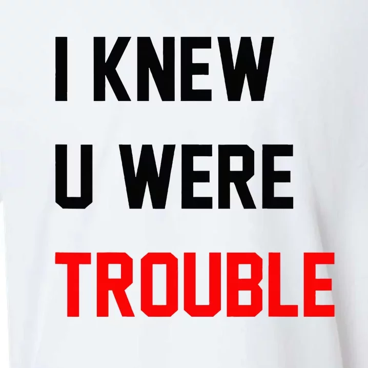 I Knew U Were Trouble Sueded Cloud Jersey T-Shirt