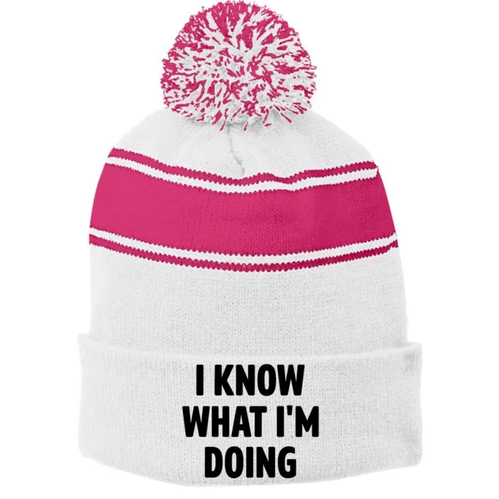 I Know What Im Doing Funny White Lie Party Stripe Pom Pom Beanie