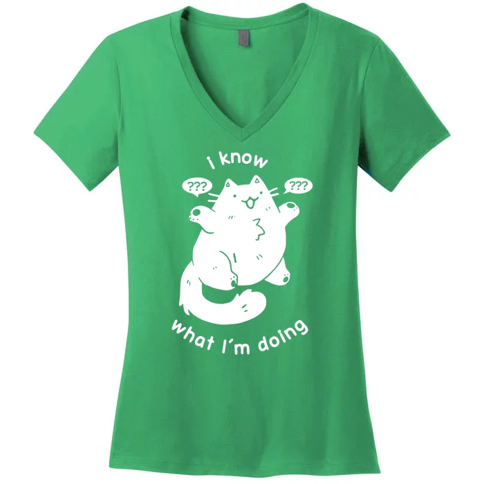 I Know What I'm Doing Funny Cat Women's V-Neck T-Shirt