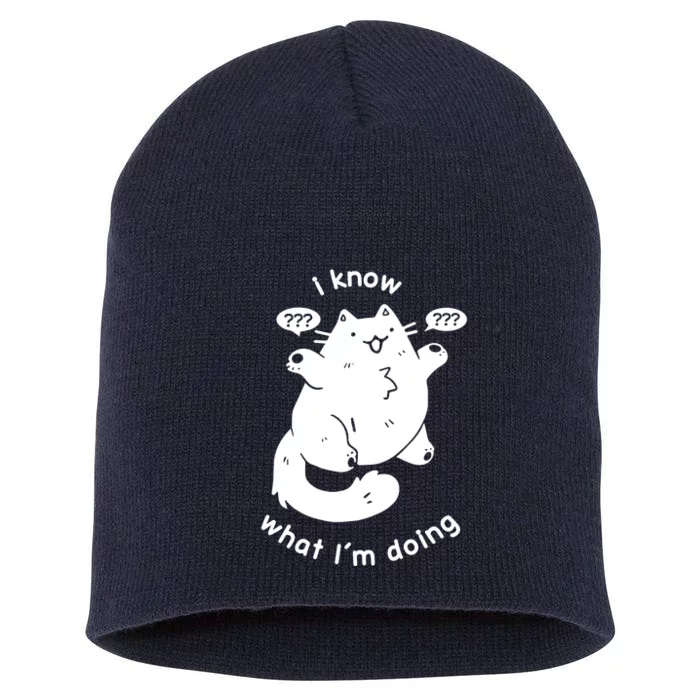 I Know What I'm Doing Funny Cat Short Acrylic Beanie