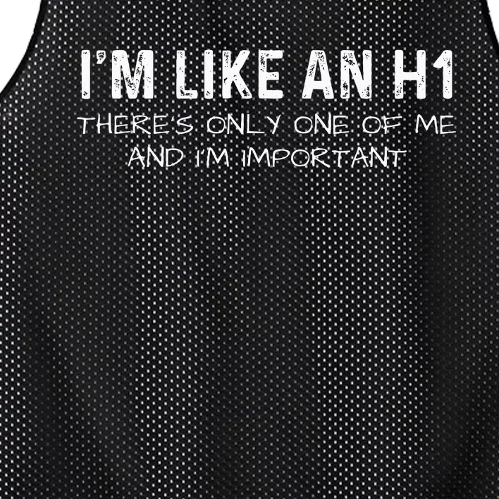 IM Like An H1 Seo Expert Mesh Reversible Basketball Jersey Tank