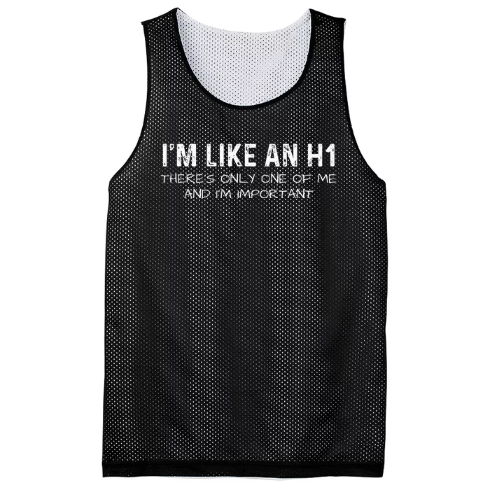 IM Like An H1 Seo Expert Mesh Reversible Basketball Jersey Tank