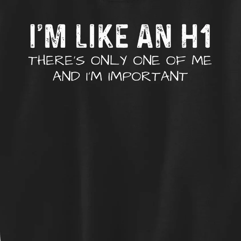 IM Like An H1 Seo Expert Kids Sweatshirt