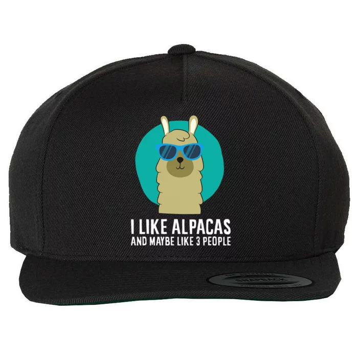 I Like Alpacas And Maybe Like 3 People Cute Alpaca Wool Snapback Cap