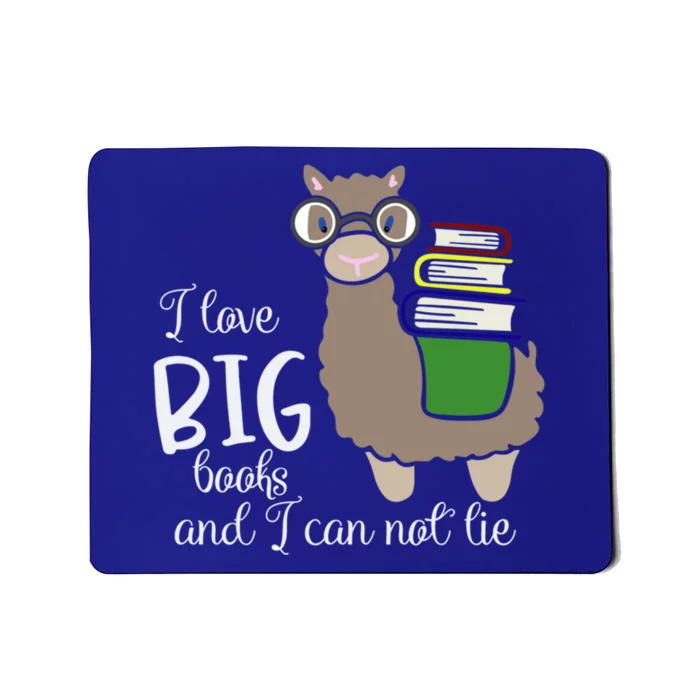 I Like Big Books And I Can Not Lie Gift Mousepad