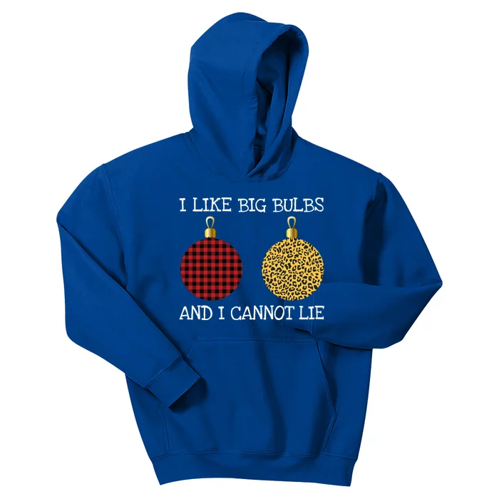 I Like Big Bulbs And I Can Not Lie Funny Breasts Christmas Gift Kids Hoodie