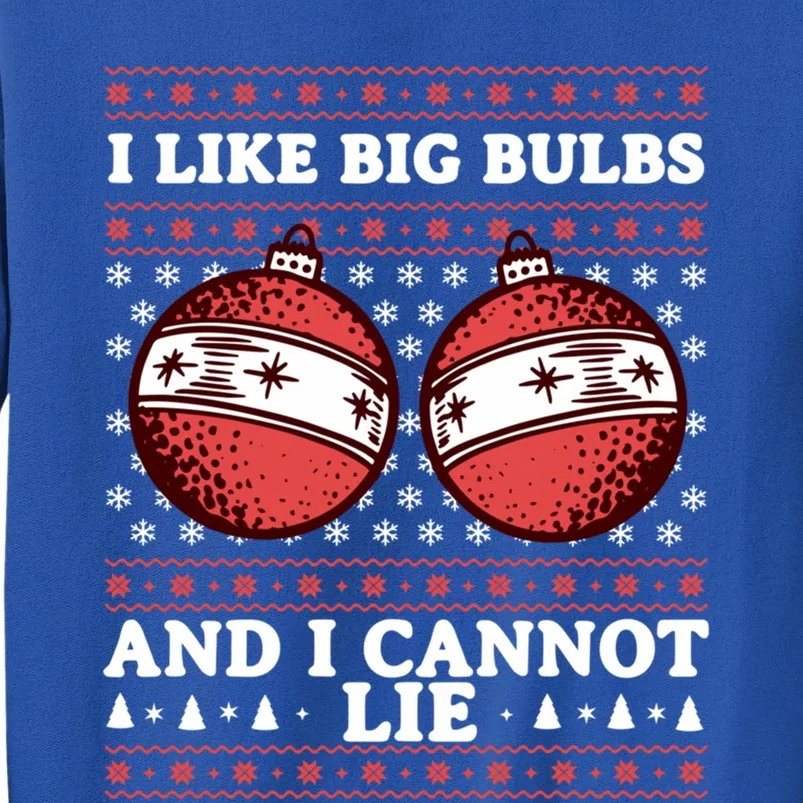 I Like Big Bulbs And I Cannot Lie Funny Matching Couples Gift Sweatshirt