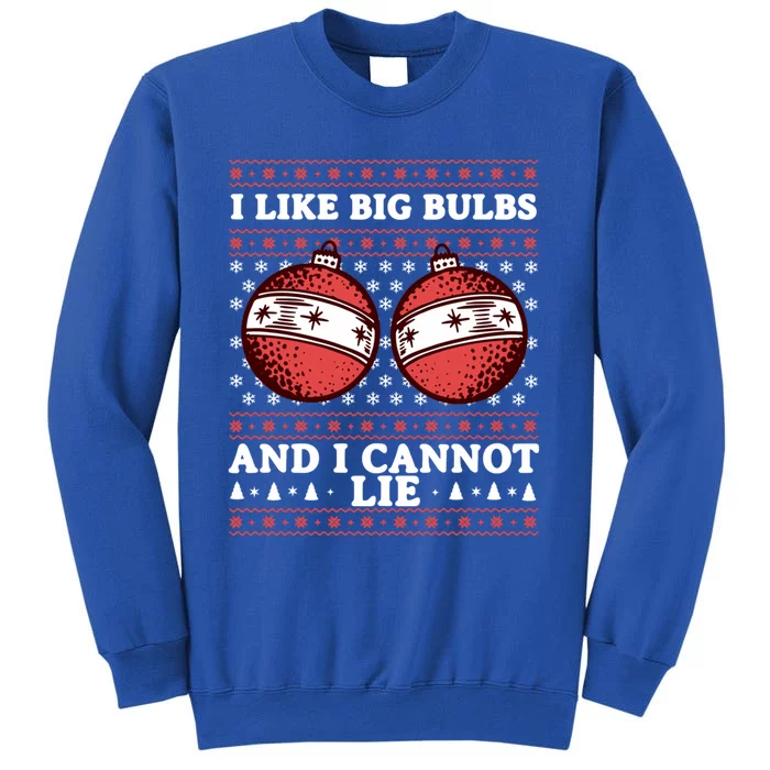 I Like Big Bulbs And I Cannot Lie Funny Matching Couples Gift Sweatshirt