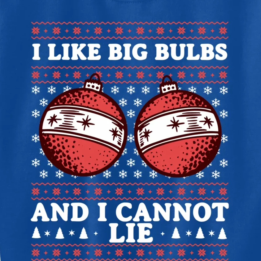 I Like Big Bulbs And I Cannot Lie Funny Matching Couples Gift Kids Sweatshirt