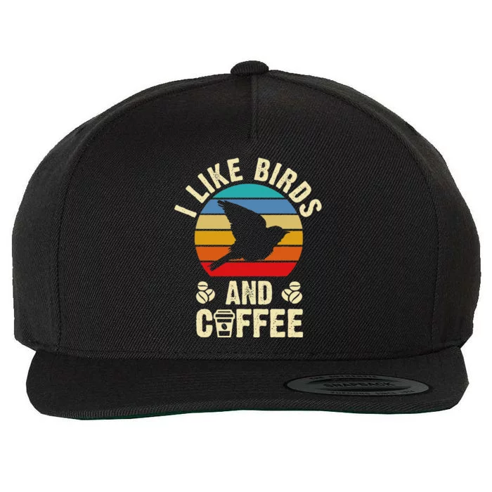 I Like Birds & Coffee Funny Vintage Birds Theme Lover Gift Wool Snapback Cap