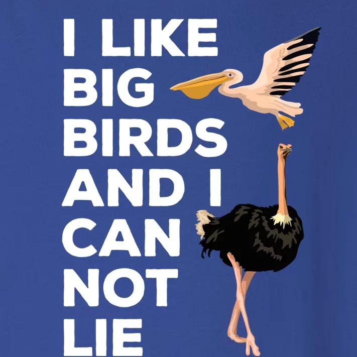 I Like Big Birds And I Can Not Lie Cute Gift Toddler Long Sleeve Shirt