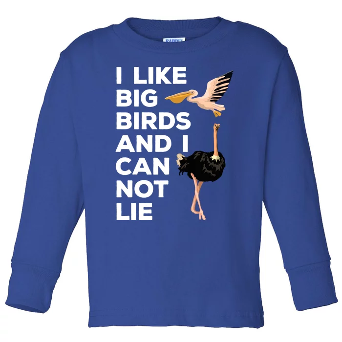 I Like Big Birds And I Can Not Lie Cute Gift Toddler Long Sleeve Shirt