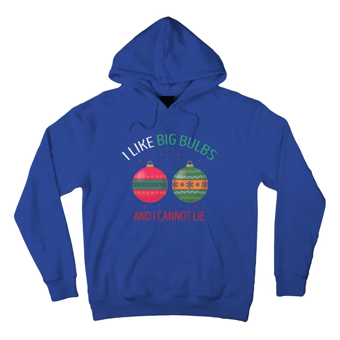 I Like Big Bulbs And I Cannot Lie Christmas Couples Present Gift Hoodie