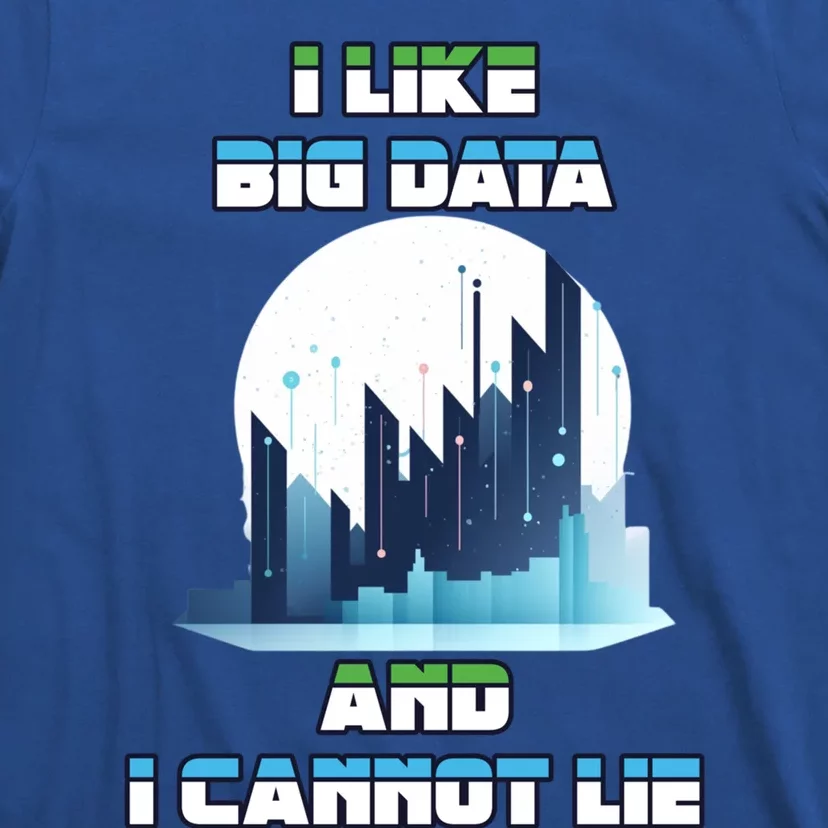 I Like Big Data And I Cannot Lie Cool Gift T-Shirt