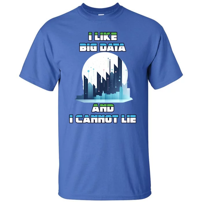 I Like Big Data And I Cannot Lie Cool Gift Tall T-Shirt