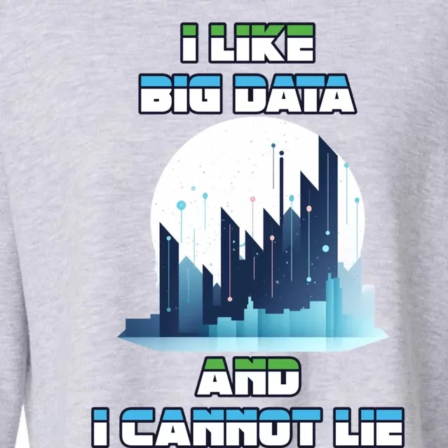 I Like Big Data And I Cannot Lie Cool Gift Cropped Pullover Crew