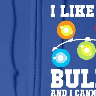 I Like Big Bulbs And I Cannot Lie Naughty Christmas Lights Gift Full Zip Hoodie