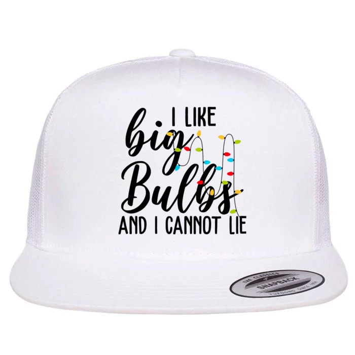 I Like Big Bulbs And I Cannot Lie Funny Christmas Flat Bill Trucker Hat