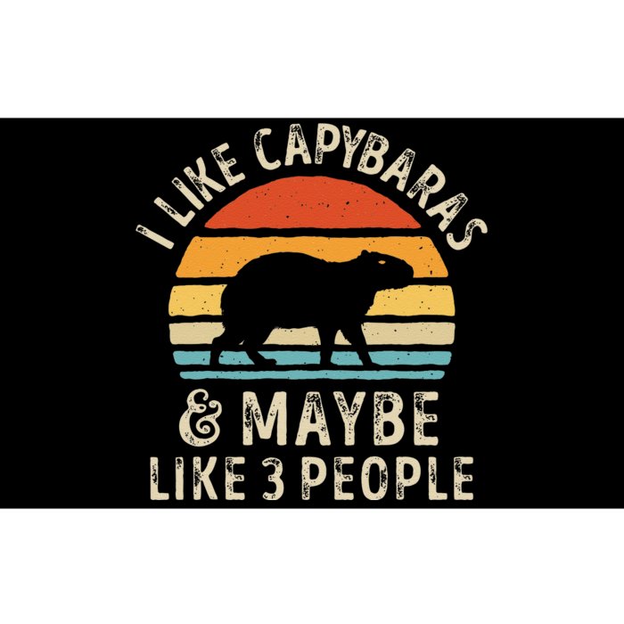 I Like Capybaras and Maybe 3 People Funny Capybara Lover Bumper Sticker