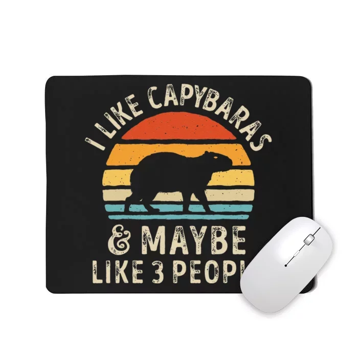 I Like Capybaras and Maybe 3 People Funny Capybara Lover Mousepad