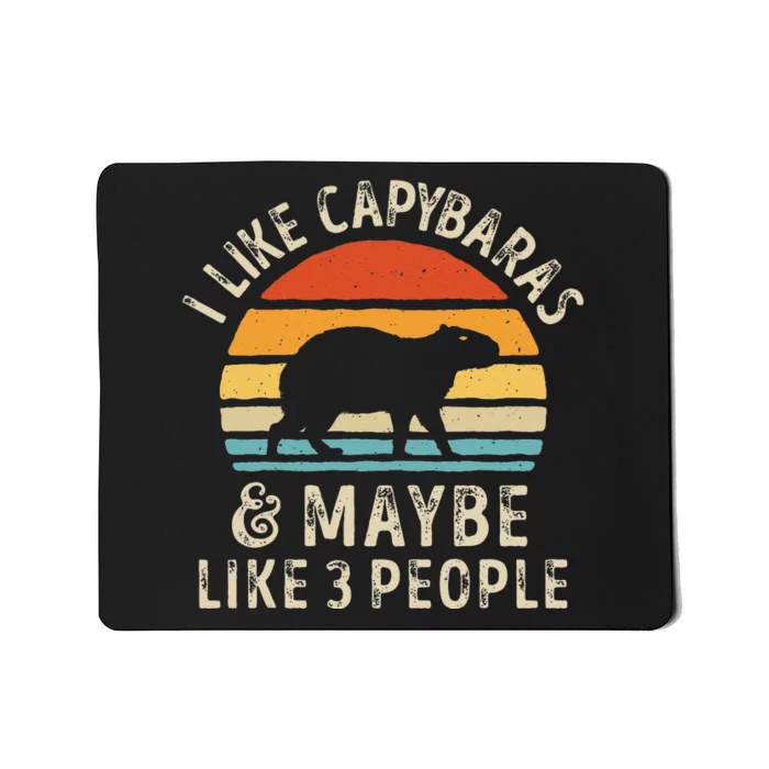 I Like Capybaras and Maybe 3 People Funny Capybara Lover Mousepad