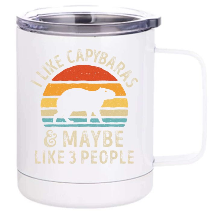 I Like Capybaras and Maybe 3 People Funny Capybara Lover Front & Back 12oz Stainless Steel Tumbler Cup