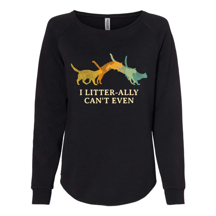 I Litterally Can't Even Cat Lover Funny Kitten Humor Womens California Wash Sweatshirt