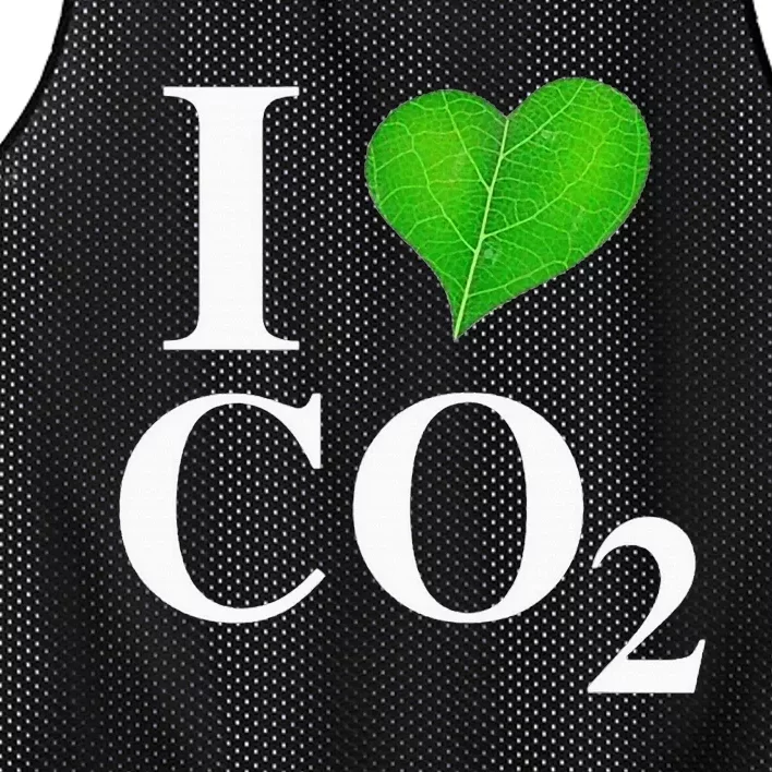 I Love Co2 Carbon Dioxide Climate Change Hoax Global Warming Mesh Reversible Basketball Jersey Tank