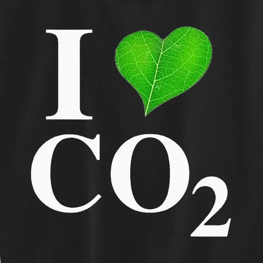 I Love Co2 Carbon Dioxide Climate Change Hoax Global Warming Kids Sweatshirt